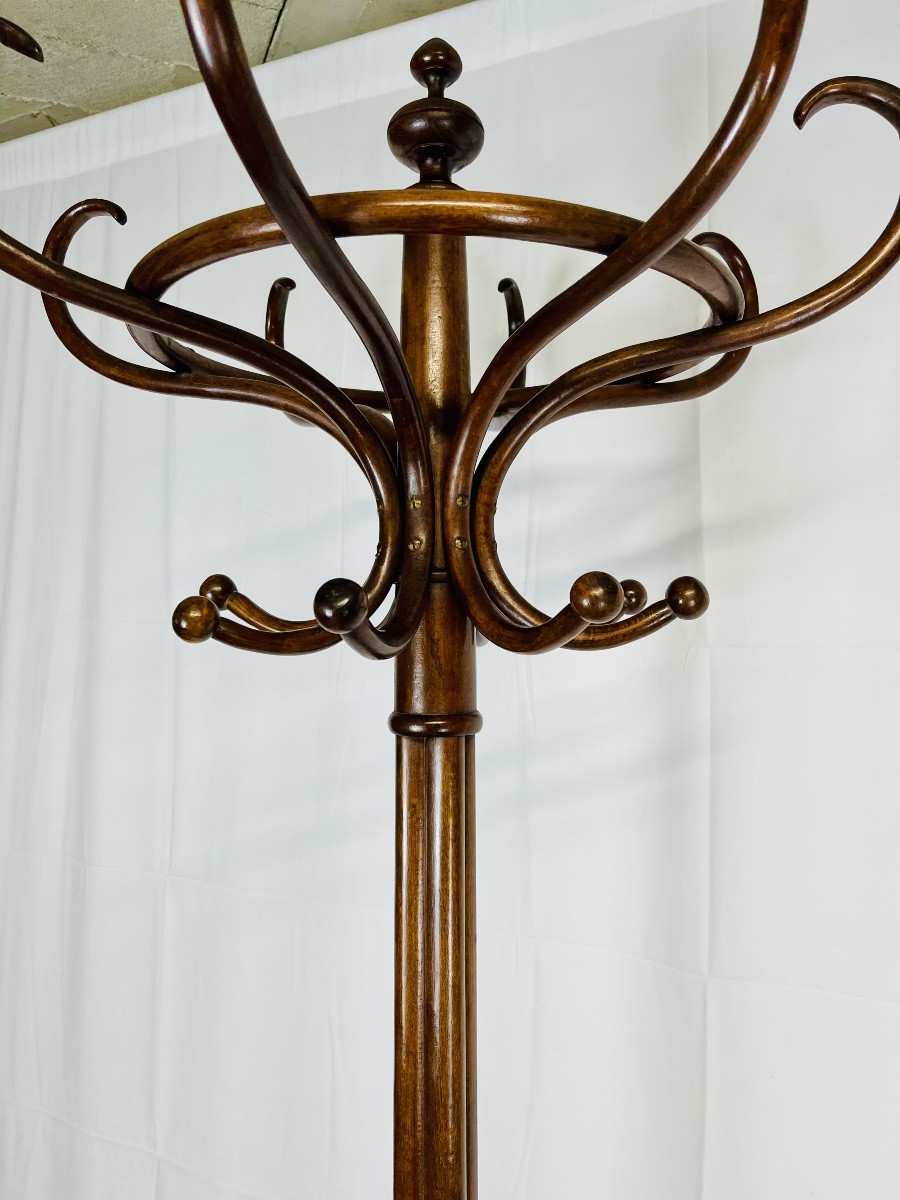 Parrot Coat Rack -photo-8